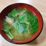 白菜の味噌汁